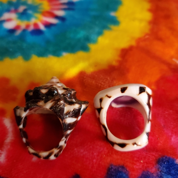 Shell rings - Picture 4 of 4
